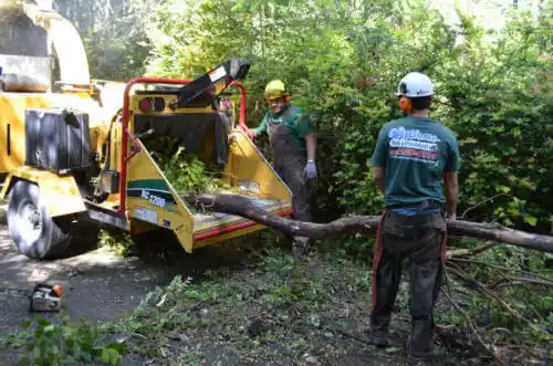 tree services Demopolis